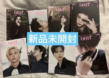 straykids 아코디언