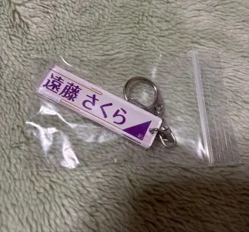 노기자카46 아크릴 키링 엔도 사쿠라 상하이