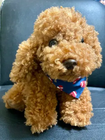 [ 미사용 새상품 ] 브라운 토이 푸들 봉제 인형 반다나 포함 초귀여움