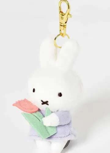 브루나 춋코리 산큐 마스코트