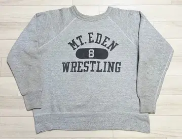 60s 프룻 오브 더 룸 빈티지 맨투맨 XL