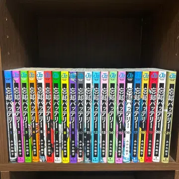 망각 배터리 1~21