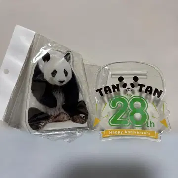 오지 동물원 탄탄 팬더 아크릴 스탠드 28주년 기념