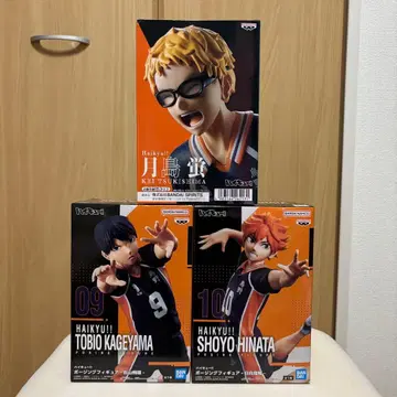 하이큐 히나타 쇼요 카게야마 토비오 츠키시마 케이