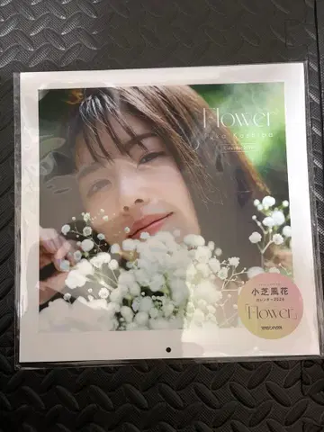 코시바 후카 사진집 Flower