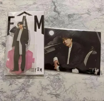 timelesz 하시모토 쇼세이 아크릴 스탠드 아크스타 오리지널 사진 A