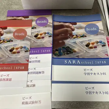 SARA school JAPAN 비즈 학습 참고서