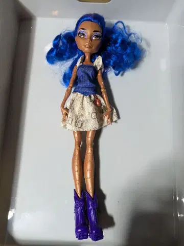 몬스터 하이 로베카 스팀