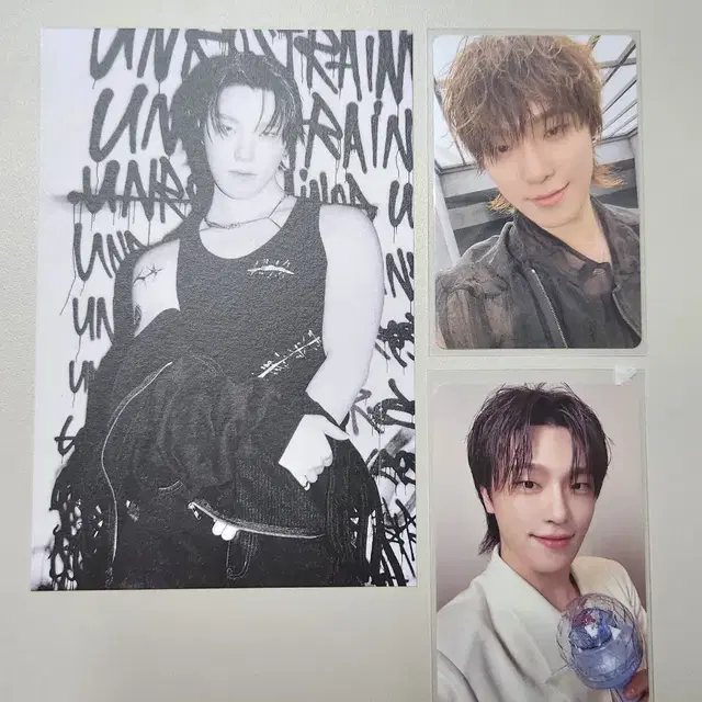 세븐틴 디노 포카 해피버스트데이 엘피 앨범 LP 특전 뉴 콘서트 캐럿존