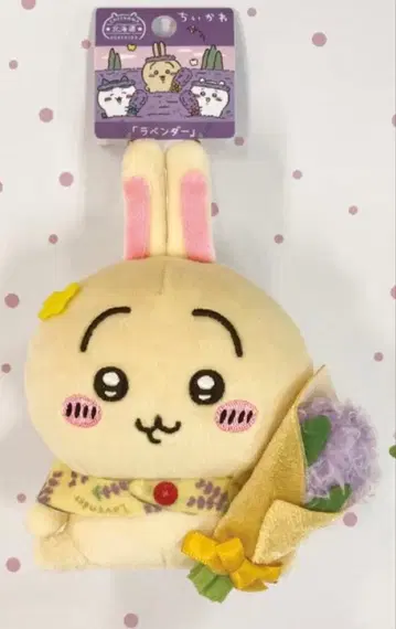 치이카와 (먼작귀) 지역 한정 키링 라벤더 토끼