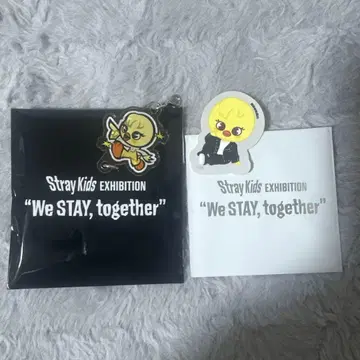 스키즈 전시회 필릭스 포가리셋