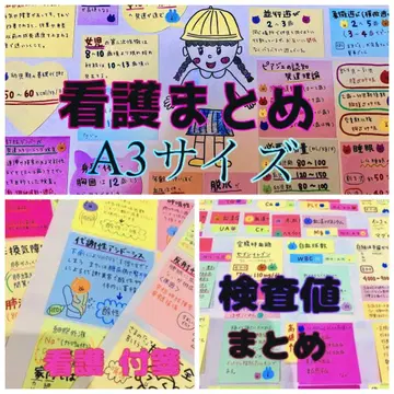 간호용 메모 노트 검사치 요약 간호 요약 A3 사이즈
