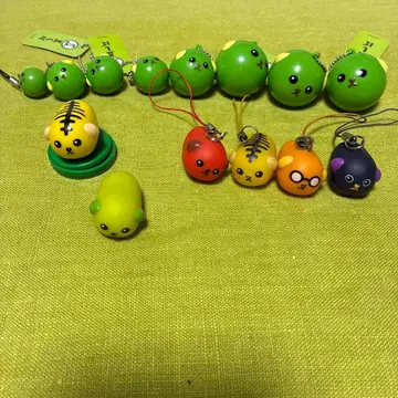 초레어 콩 시바 그린 피시바 세트