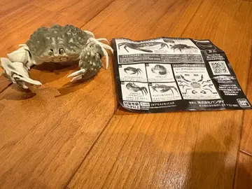 생물대도감 어드밴스 게 소데카라파 설명서 포함 게