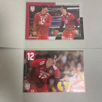 남자 배구 엽서 이시카와 아이