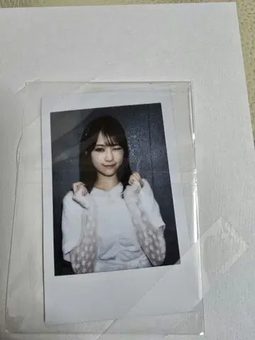 호시타니 미라이 폴라로이드