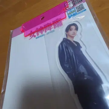 모리 판타지 한정판 여신 강림 아크릴 스탠드 츠나 케이토 3