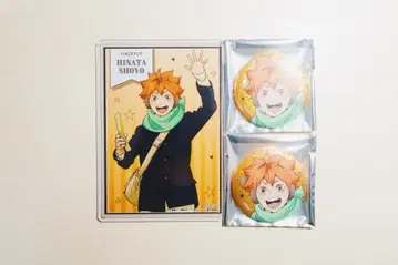 하이큐!! 코스모 월드 히나타 쇼요 세트