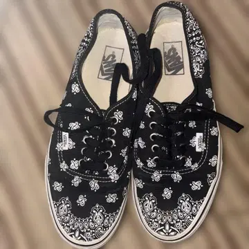 vans 오센틱 페이즐리