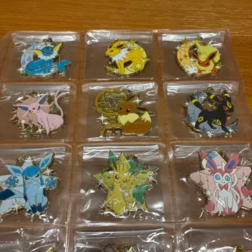 포켓몬 제일복권 메탈 참 부스터즈 전종 세트 이브이 니피아