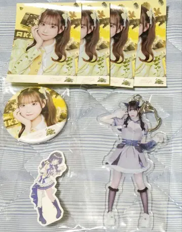 아키시브 Project 히라사와 카에 굿즈