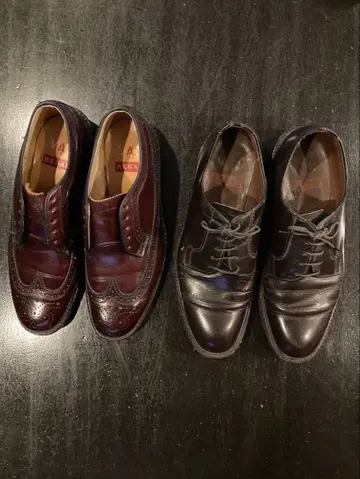 VAN REGAL 가죽 신발 세트