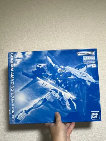 MG 1/100 건담 어메이징 엑시아