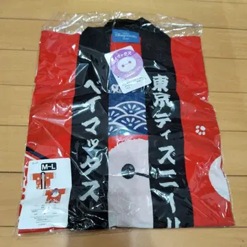 베이맥스 축제 의상