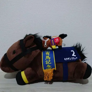 키타산 블랙 봉제 인형 30cm