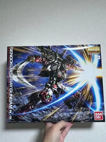 MG 1/100 전국 아스 건담