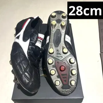 모렐리아 2 JAPAN 크로스 스티치