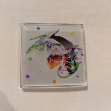 [ 미사용 ] TOMOO 랜덤 마그넷 Present