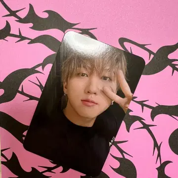 Stray Kids 창빈 DO IT YES24