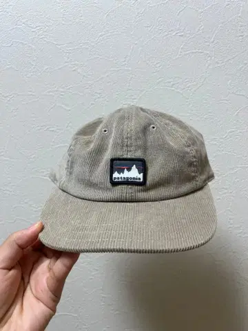 patagonia 코듀로이 캡 베이지