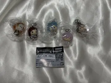 BLEACH 블리치 메지루시 액세서리 5종 세트