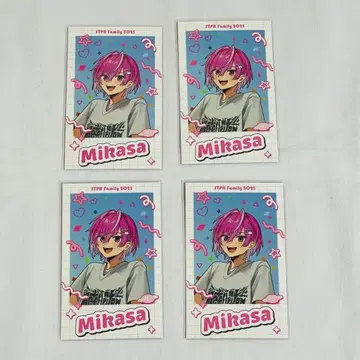 STPR Family 2025 랜덤 포토 카드 메테오라 미카사 군