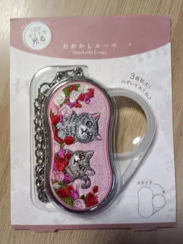 치장 루페 고양이