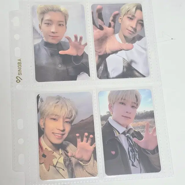 세븐틴 원우 페더썬 호랑해 모음 포토카드 4장 일괄 양도