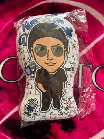 토사카 히로오미 쿠션 2