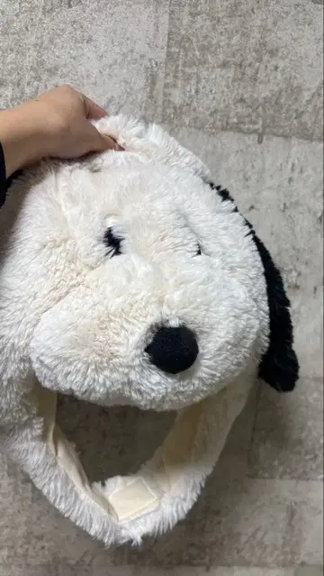 스누피 뒤집어쓰는 것