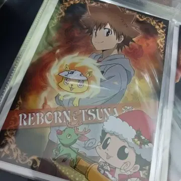 가정교사 히트맨 REBORN! 사와다 츠나요시 신규 일러스트 엽서