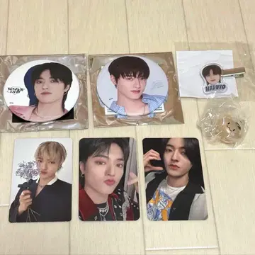 TREASURE 하루토 캡슐 토이 트레이딩 카드 캔뱃지