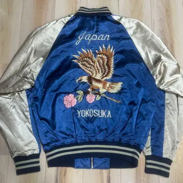 호시히메 조금 전에 화제가 되었던 스카잔