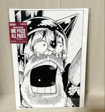 원피스 ONEPIECE all pages 루피 루시