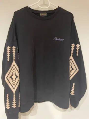 Pendleton 맨투맨 XL