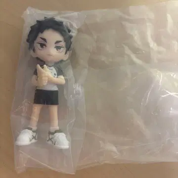 하이큐 팔버스 피규어 PalVerse vol.2 아카아시