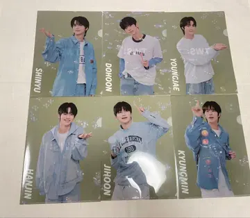 TWS 클리어 파일 컬렉션 6장 세트