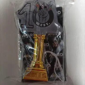 WEST. AWARD 응원봉
