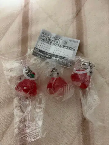 퍼니 PEANUTS 메지루시 참 가챠 3개 세트