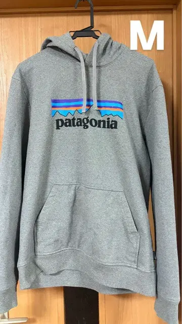 파타고니아 후드티